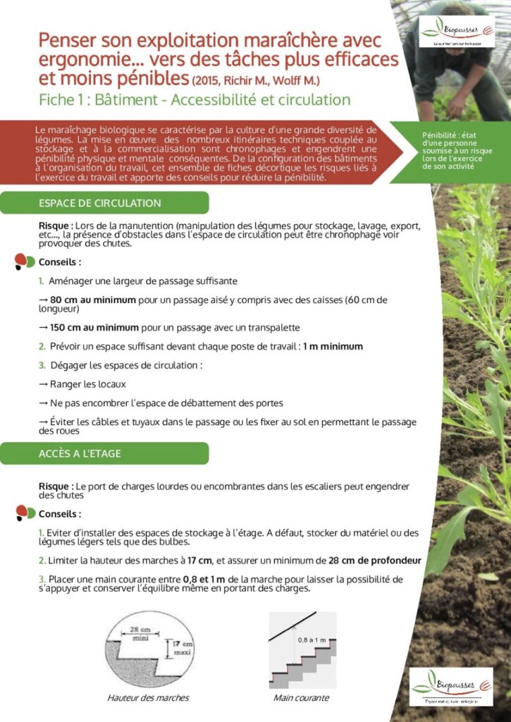 Exploitation maraîchère ergonomie circulation
