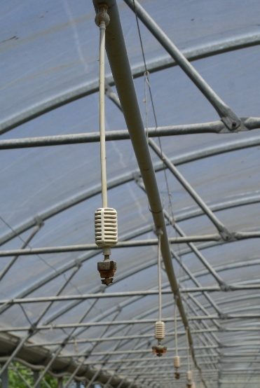 Asperseurs sous abris - irrigation en maraîchage