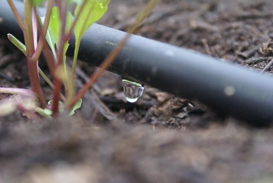 Gaine de goute à goute